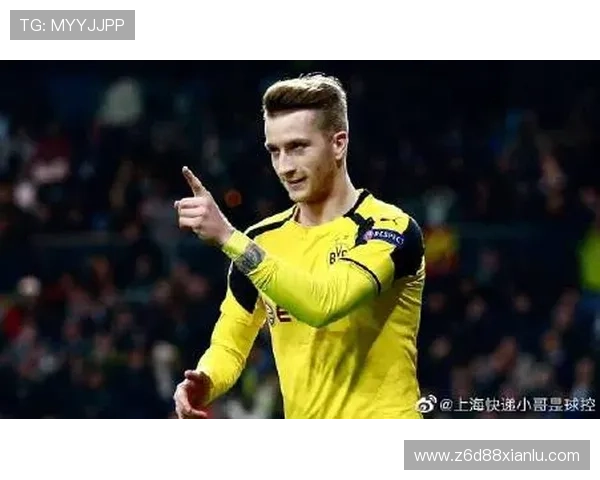 尊龙z6官方手机版使用过程中常见问题及解决方法 尊龙z6官方手机版使用过程中常见问题及解决方法