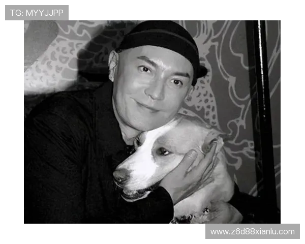 持之以恒的追求:尊龙的博弈与梦想之路 持之以恒的追求:尊龙的博弈与梦想之路