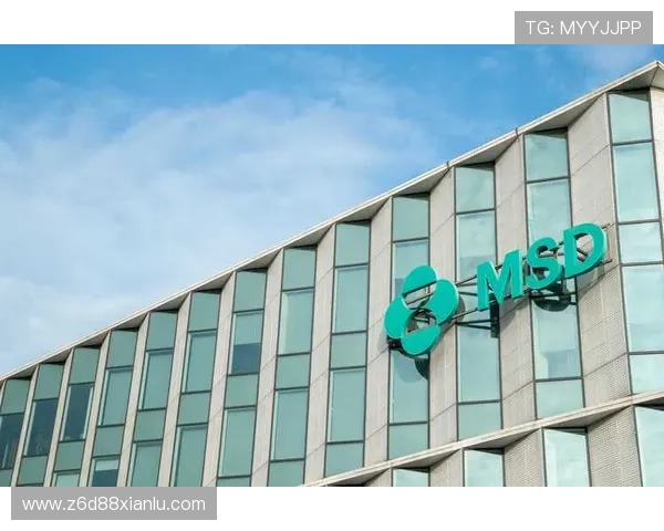 尊龙集团(Z6)的企业文化与管理理念对行业的深远影响