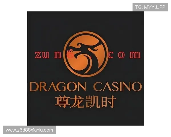 选择尊龙凯时在线登录入口时需关注的细节