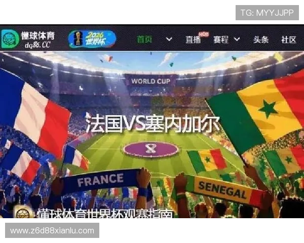 世界杯法国塞内加尔比赛对中国球迷的影响及相关观赛指南解读